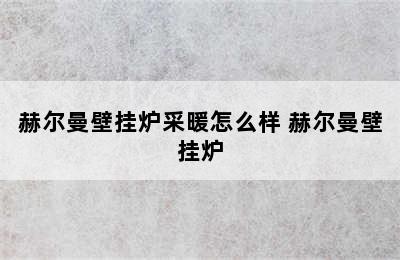 赫尔曼壁挂炉采暖怎么样 赫尔曼壁挂炉